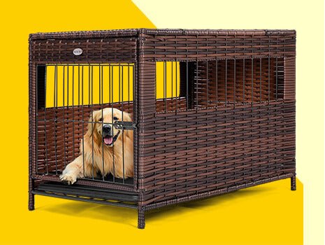 2022 How to make the best use of a dog crate